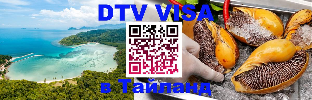 Оформление DTV визы под ключ: стоимость и тарифы, только загранпаспорт - 18.11.2025 